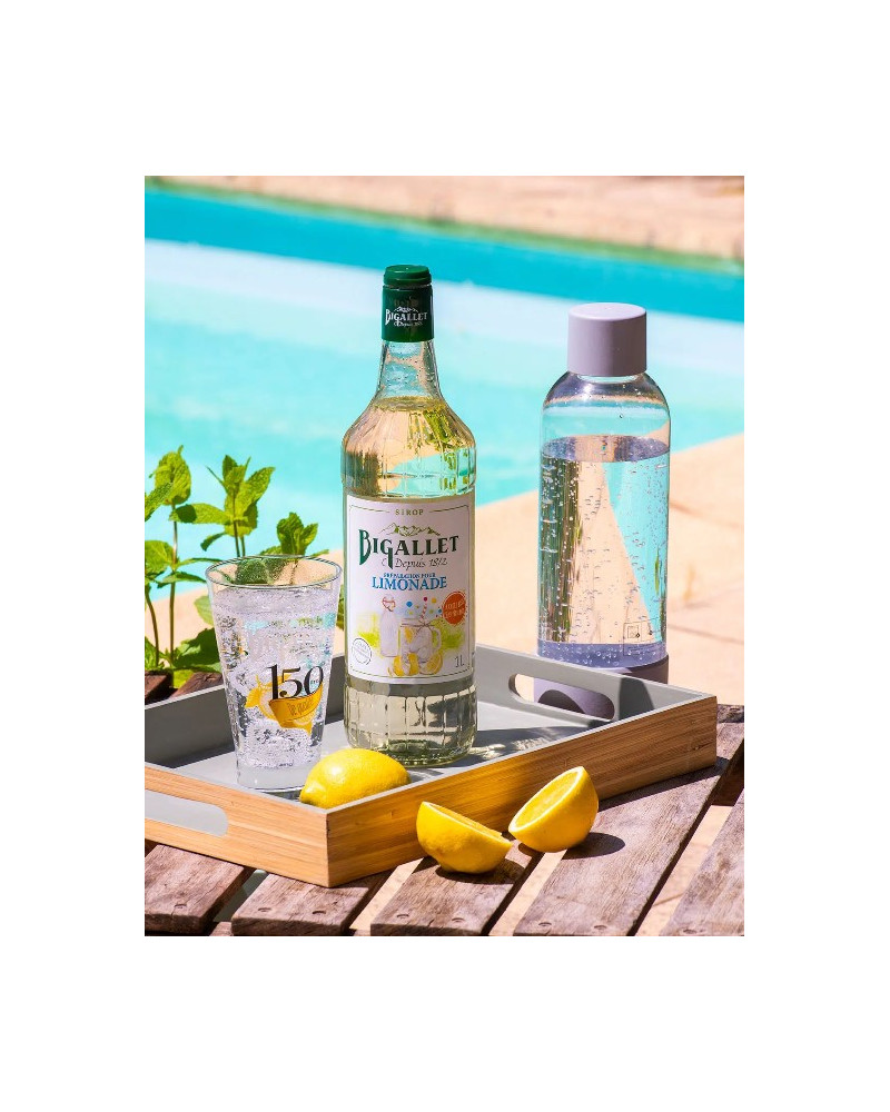 Sirop myrtille 1L Maison Bigallet