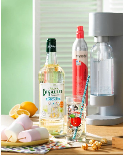 Sirop myrtille 1L Maison Bigallet