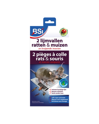 Pièges à colle *2 souris et rats BSI