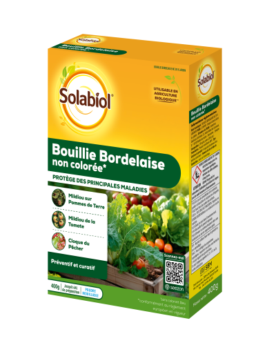 SBM Bouillie bordelaise non colorée 400g