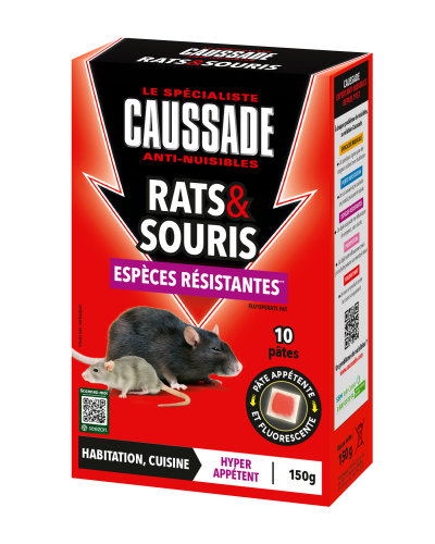 Caussade rats & souris fluo 150g