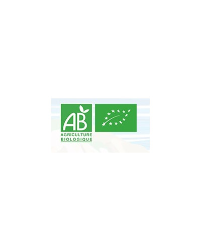 La Cig Bière la Thermik 33 cl bio
